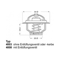 termostatas, aušinimo skystis
                                BorgWarner (Wahler)                                           