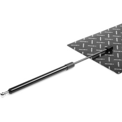 dujinė spyruoklė, bagažinė
                                RIDEX                                                219G0837,