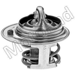 termostatas, aušinimo skystis
                                MOTORAD                                                239-82K