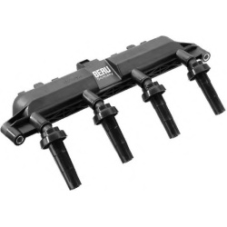 Ritė uždegimo babina
                                BorgWarner (BERU)                                                ZS381