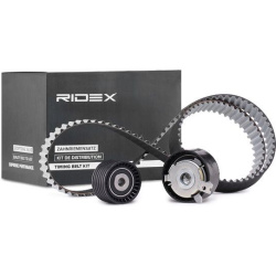 RIDEX                                                307T0060, Nenurodytas gamintojas, 307T0060, auto detalė