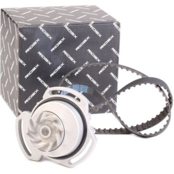 vandens siurblio ir paskirstymo diržo komplektas
                                RIDEX                                      