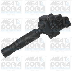ritė, uždegimas
                                MEAT &amp; DORIA                                                10661, Nenu