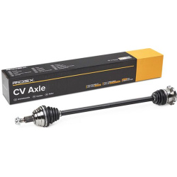 pusašis
                                RIDEX                                                13D1295, Nenurodytas gamintojas