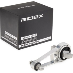 variklio montavimas
                                RIDEX                                                247E0379, Nenurodyta
