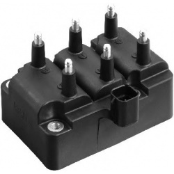 ritė, uždegimas
                                BorgWarner (BERU)                                                ZS 405, Bo