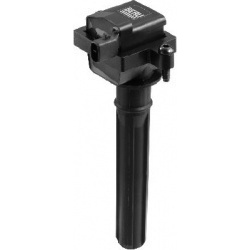 ritė, uždegimas
                                BorgWarner (BERU)                                                ZS 431, Bo