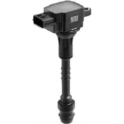 ritė, uždegimas
BorgWarner (BERU) ZSE 081, B