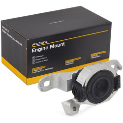 variklio montavimas
                                RIDEX                                                247E0381, Nenurodyta