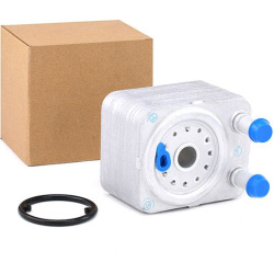 RIDEX                                469O0005, Nenurodytas gamintojas, 469O0005, auto detalė