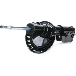 amortizatorius
                                RIDEX                                                854S0794, Nenurodytas gam