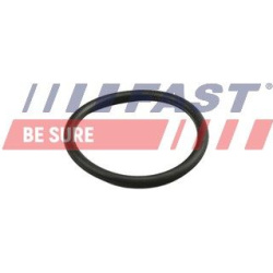 tarpiklis, aušinimo skysčio vamzdelis
                                FAST                                FT49919, FAST, FT