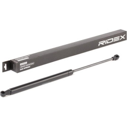 dujinė spyruoklė, bagažinė
                                RIDEX                                                219G0356,