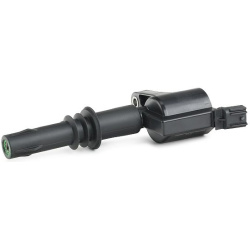 ritė, uždegimas
                                RIDEX                                                689C0387, Nenurodytas 
