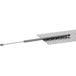 dujinė spyruoklė, bagažinė
RIDEX 219G0876,