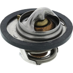 termostatas, aušinimo skystis
                                MOTORAD                                                337-88K