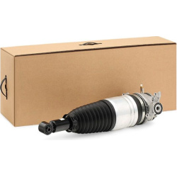 pneumatinės spyruoklės statramstis
                                RIDEX                                                411