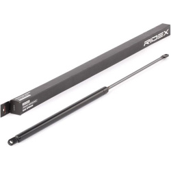 dujinė spyruoklė, gaubtas
RIDEX 514G0028, Ne