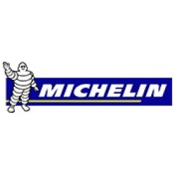 Vasarinės padangos MICHELIN Pilot Sport 4 SUV 295 /35/R23 108 Y
                                MICHELIN                    