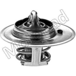termostatas, aušinimo skystis
                                MOTORAD                                                241-88K
