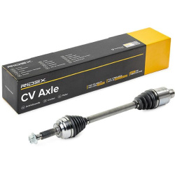 pusašis
                                RIDEX                                                13D1060, Nenurodytas gamintojas