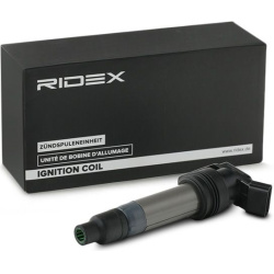 ritė, uždegimas
                                RIDEX                                                689C0289, Nenurodytas 