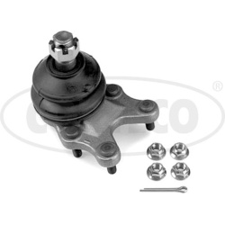 Šarnyras
                                CORTECO                                49395873, CORTECO, 49395873, auto detalė