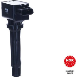 ritė, uždegimas
                                NGK                                                49532, NGK, 49532, auto 