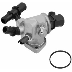termostatas, aušinimo skystis
                                MOTORAD                                                488-88K