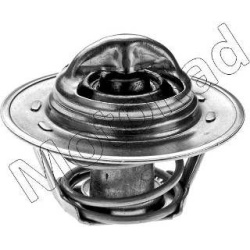 termostatas, aušinimo skystis
                                MOTORAD                                                201-91,
