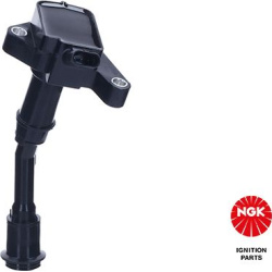 ritė, uždegimas
                                NGK                                                49530, NGK, 49530, auto 