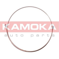 stabdžių žarnelės
                                KAMOKA                                                1173148, KAMOKA, 