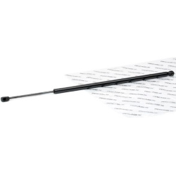 dujinė spyruoklė, bagažinė
                                RIDEX                                219G1028, Nenurodytas gam