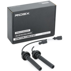 RIDEX                                                685I0070, Nenurodytas gamintojas, 685I0070, auto detalė