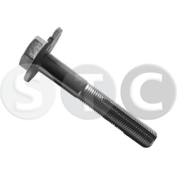 Varžtas ekscentrinis, suvedimo
                                STC                                                T439290, S
