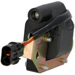 ritė, uždegimas
                                JAPKO                                                78H11, Nenurodytas gam