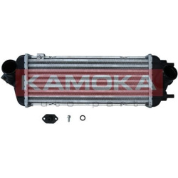 tarpinis suslėgto oro aušintuvas, kompresorius
                                KAMOKA                                      