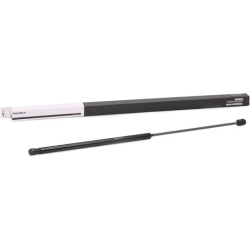 dujinė spyruoklė, gaubtas
                                RIDEX                                                514G0082, Ne