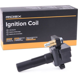 ritė, uždegimas
                                RIDEX                                                689C0385, Nenurodytas 