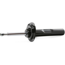 amortizatorius
                                RIDEX                                                854S1830, Nenurodytas gam