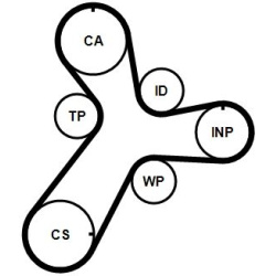 vandens siurblio ir paskirstymo diržo komplektas
                                CONTITECH                                  