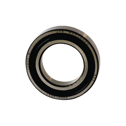 Guolis universalus, generatoriaus pusašio ašelės
                                SKF                                6007-2