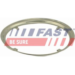 tarpiklis, išleidimo kolektorius
                                FAST                                                FT84817