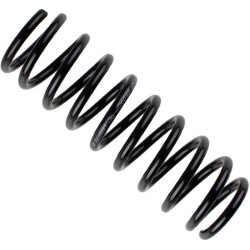 spyruoklė BILSTEIN - B3 OE Replacement
                                                36-256648, BILSTEIN, 36-256648, auto 