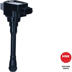 ritė, uždegimas
                                NGK                                                48916, NGK, 48916, auto 