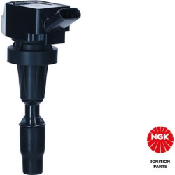 ritė, uždegimas
                                NGK                                                49138, NGK, 49138, auto 
