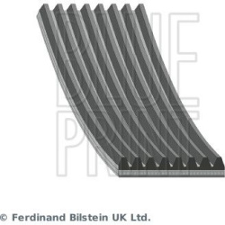 V formos rumbuoti diržai
                                BLUE PRINT                                                AD08R1295