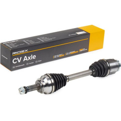 pusašis
                                RIDEX                                                13D0207, Nenurodytas gamintojas