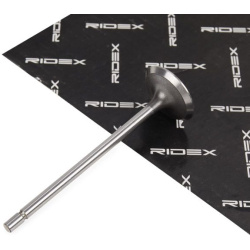 įsiurbimo vožtuvas
                                RIDEX                                                1269I0005, Nenurody