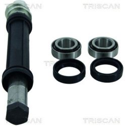 pakabos komplektas
                                TRISCAN                                8500 38400, Nenurodytas gamintojas,